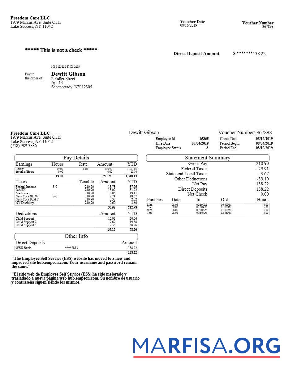 Printable Freedom Care LLC pay stub sample